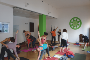 Ashtanga Yoga Oster- Retreat in Stuttgart @ Ashtanga Yoga Stuttgart | Berlin | Berlin | Deutschland